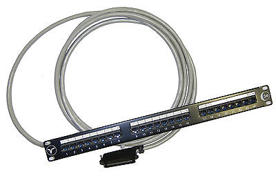 RJ21 Male Plug Amp to 24 Way Rj45 Leaded Panel 19